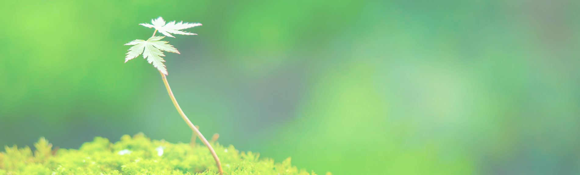 相続対策・相続税・確定申告<br class=